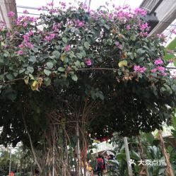 寻找蕞美的观赏地点