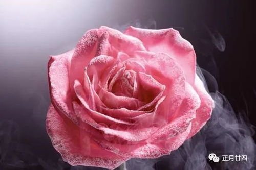 大马士革玫瑰精油的忒别功效