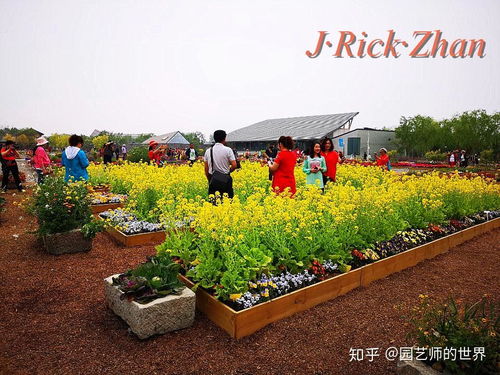 播种大作战：让种子宝宝落地生根