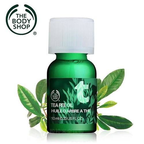 茶树精油祛痘效果显著：揭秘茶叶护肤新趋势