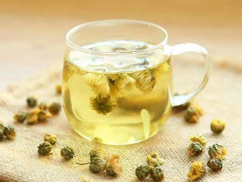 菊花的美味茶香
