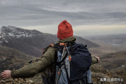 加拿大飞蓬：荒野中的坚韧旅者