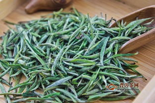 揭秘：银针茶的分类与种植技巧，提升茶叶品质！