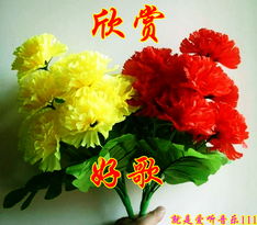 男朋友送我康乃馨，这代表他对我有什么特别的祝福吗