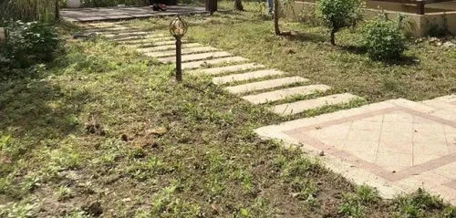 新手种草， 牢记“三不原则”