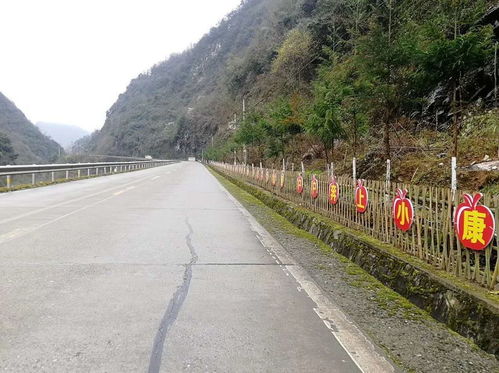 分车绿化带的设计