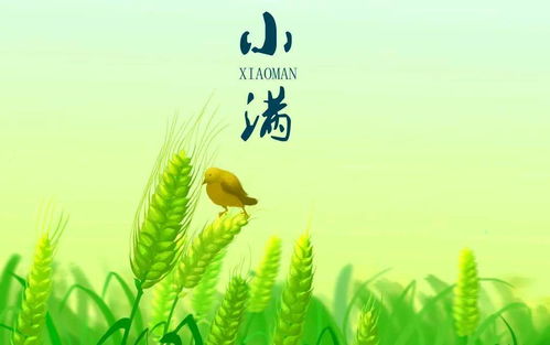 小满时节的自然魅力