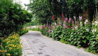 花还有这些作用