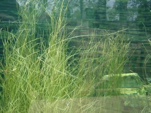 哎呀，水突然变浑浊，咋整啊？