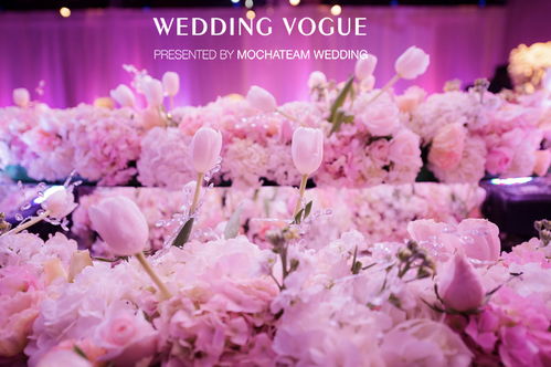 送粉红色满天星的浪漫密码