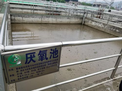 采用厌氧-好氧生物处理技术