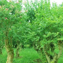 测量点，你得找准！