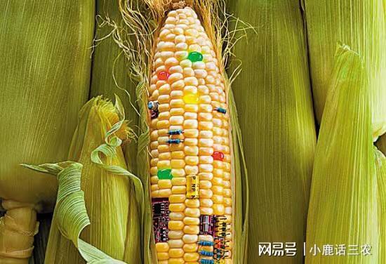 对作物的影响