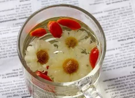 常饮菊花枸杞茶，能护眼明目吗