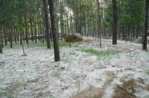 农药用多了对环境不好哦