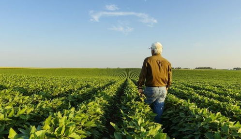 选择合适的时机