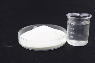 污泥脱水的守护神