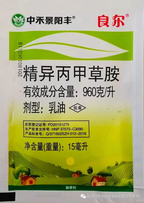 乙草胺， 它是个啥