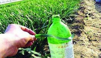 江苏：农药行业的领头羊