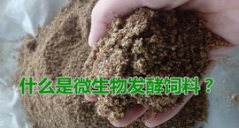饲料发酵后制成颗粒，相比不发酵的饲料，颗粒化有哪些潜在缺点？