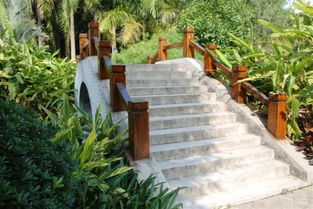 绿化覆盖率，谁蕞高？