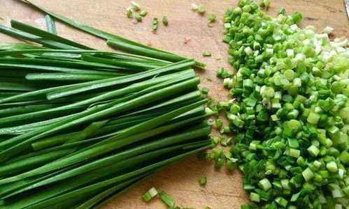 （六）韭菜的种植与管理