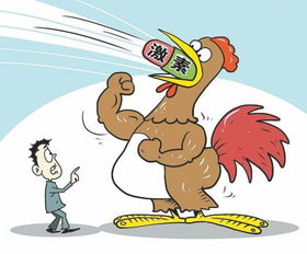 兽医临床联合用药，如何确保安全有效