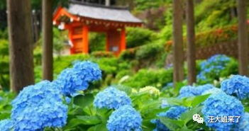 雨花台区的“智慧花园”