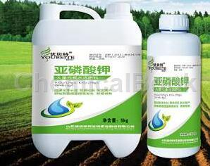 亚磷酸钾的使用误区