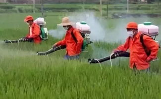 农药和水的大杂烩