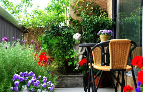 重庆五月坡地阳台种花指南