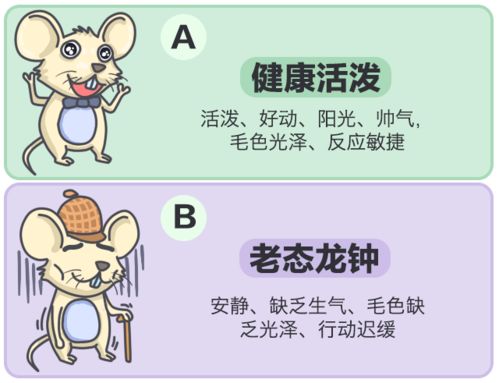 羊眼屎增多：揭秘致命隐患，科学治疗指南