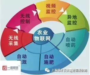 农业领域创业新方向：智慧农业大数据分析