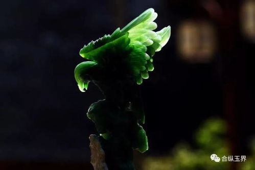 四叶草的奥秘究竟隐藏了哪些神秘传说