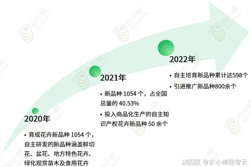 困境与突破：产业升级的