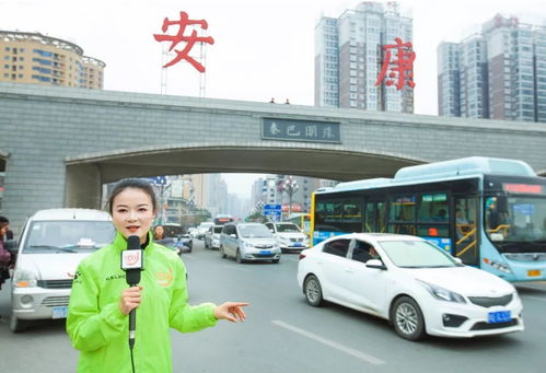 一、农药市场的神秘面纱