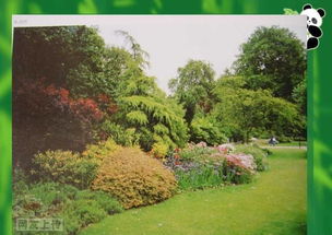 园林植物配置的入门知识