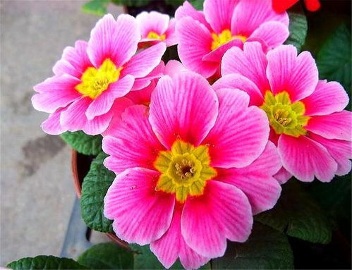 决定价格的三大铁律