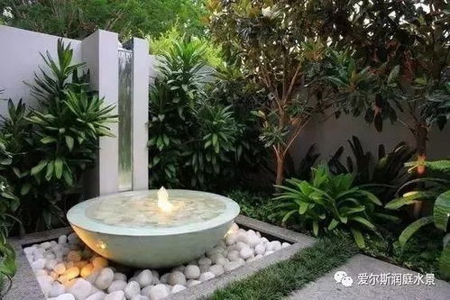 院子栽桃花好风水吗？这几种花既招财又好看