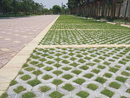 别被卖家忽悠买