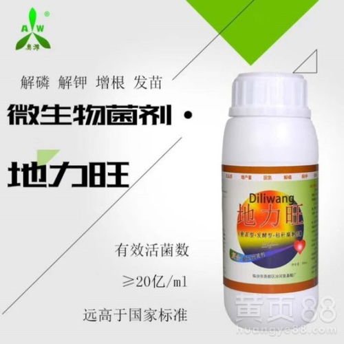 微生物菌剂与杀虫剂