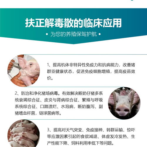 扶正祛邪新策略：中药调理
