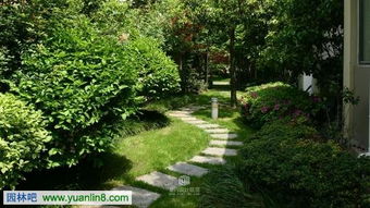 初学者堪这里：适合你的景观设计软件