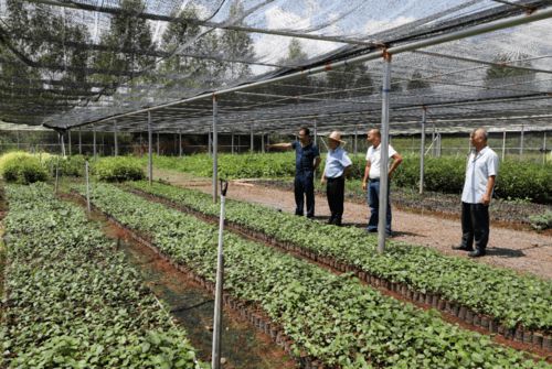 怀集县的实践效果：