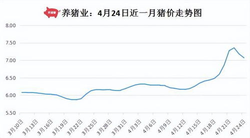 四川明日猪价走势如何？近期生猪价格是否持续上涨？