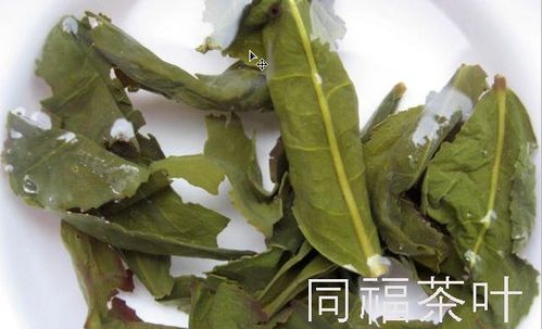 碧螺春泡开后叶子形状：如凤尾舞动