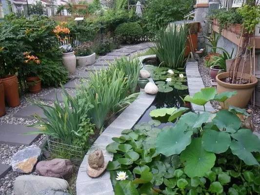 养护误区：别让花儿白费心机