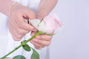 减少消耗， 增加吸入