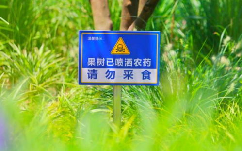 果子洗洗，geng放心