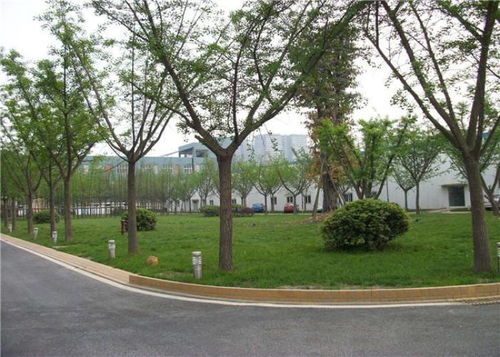 网上绿化项目咋评估